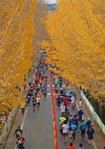 【準特選】天理教教会本部賞『ラッシュアワー』神田和典氏 【準特選】天理教教会本部賞『ラッシュアワー』神田和典氏