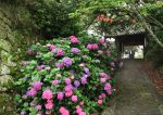 【準特選】長岳寺貫主賞『雨あがり』村上早人氏 【準特選】長岳寺貫主賞『雨あがり』村上早人氏