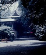 【準特選】『早朝の石の上』山中定子氏 【準特選】『早朝の石の上』山中定子氏